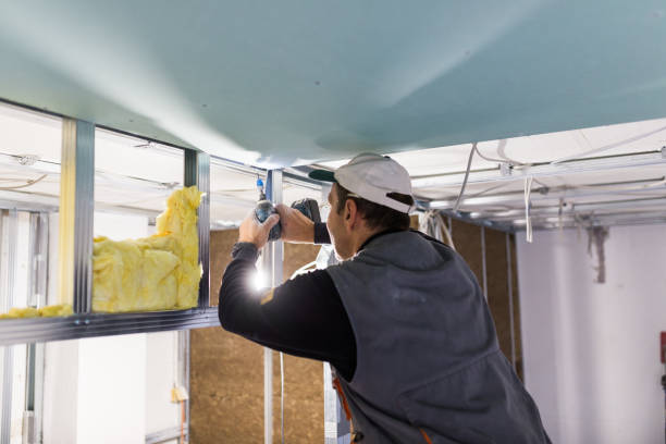Best DIY Insulation Kits and Guidance in Wellman, IA