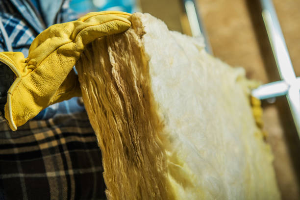 Best Eco-Friendly Insulation in Wellman, IA