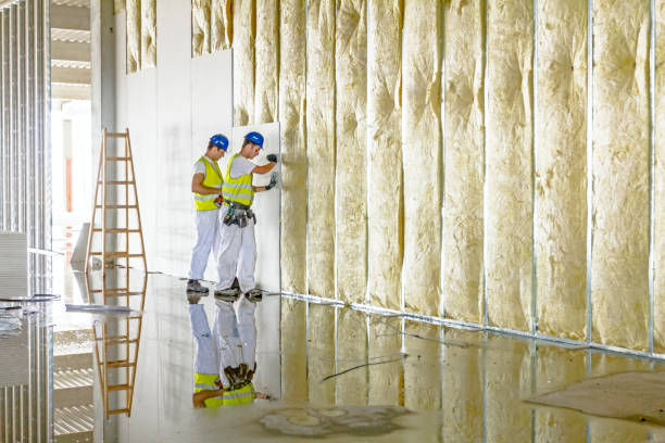 Best Geographic-Specific Insulation Services in Wellman, IA